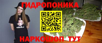 молекула духа Новодвинск