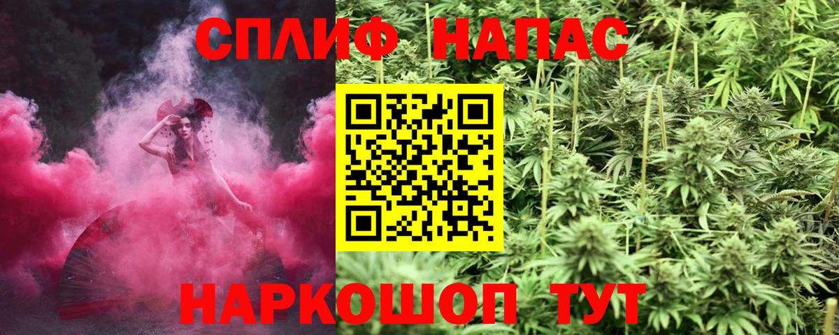 Каннабис конопля Среднеуральск